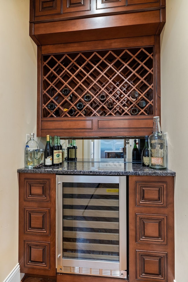 wine cellar with beverage cooler and bar