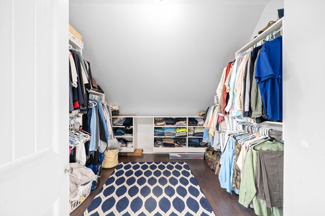554 Hayes Ridge Rd, Indian Mound, TN 37079 - walk in closet featuring lofted ceiling and dark hardwood / wood-style floors