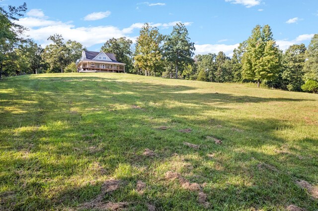 554 Hayes Ridge Rd, Indian Mound, TN 37079 - view of yard