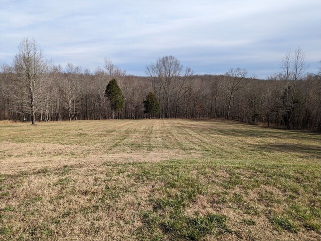 554 Hayes Ridge Rd, Indian Mound, TN 37079 - view of yard featuring a rural view