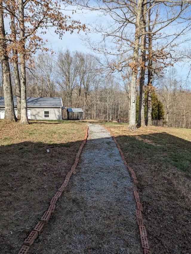 554 Hayes Ridge Rd, Indian Mound, TN 37079 - view of yard