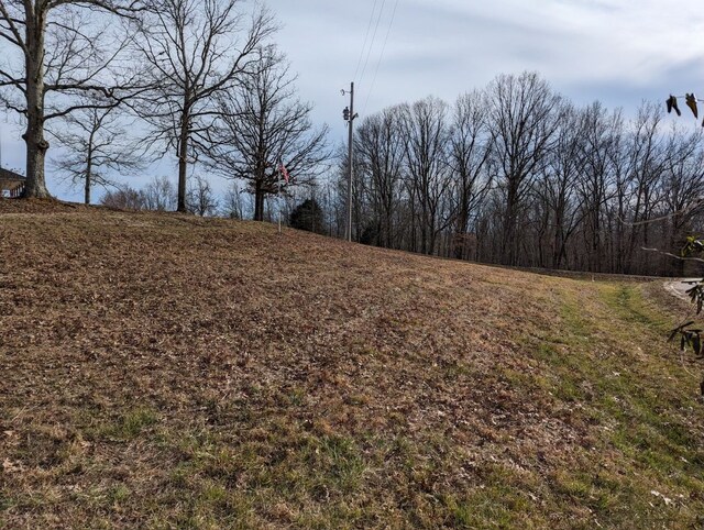 554 Hayes Ridge Rd, Indian Mound, TN 37079 - view of yard