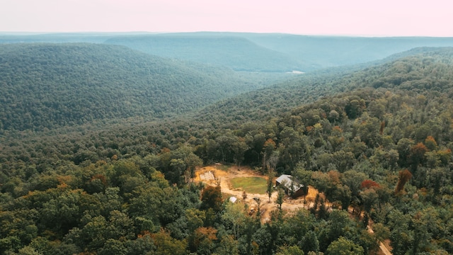 view of mountain view