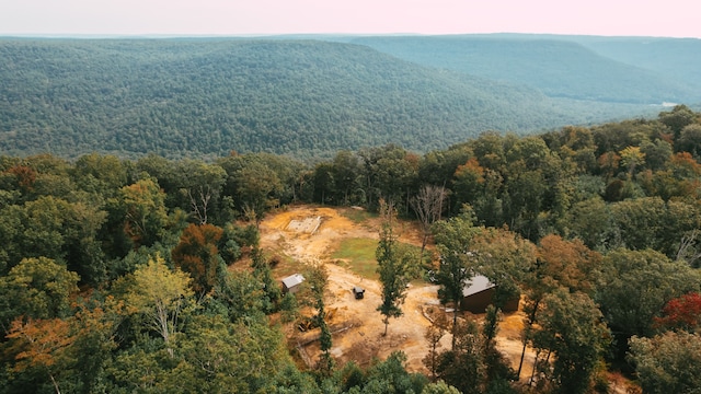 view of drone / aerial view