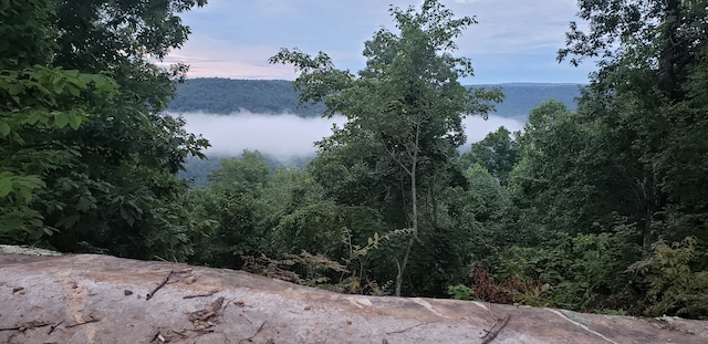 view of nature at dusk