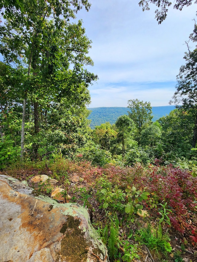 view of local wilderness