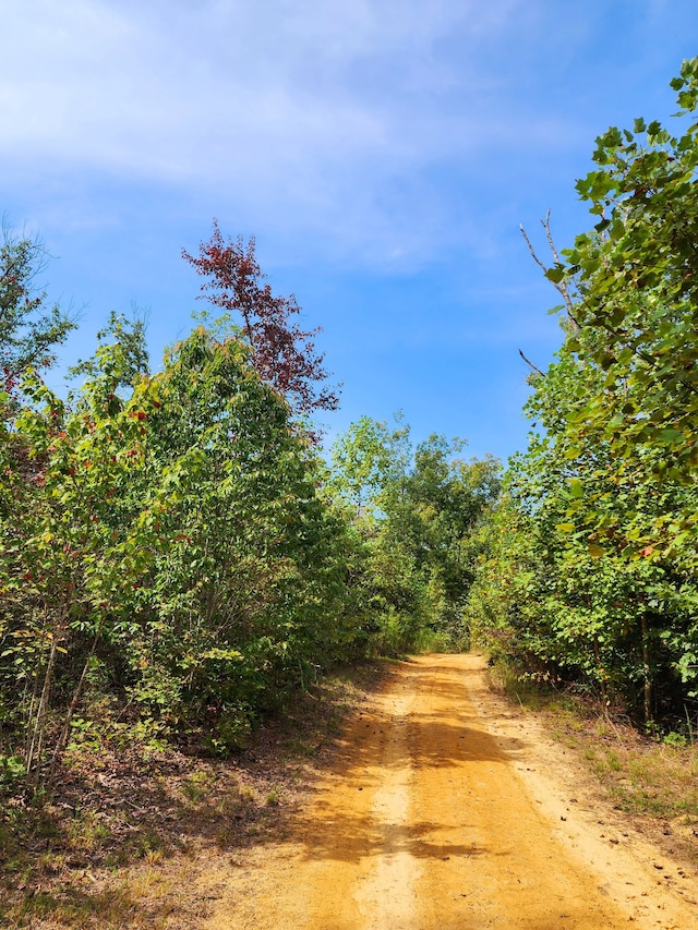 view of road