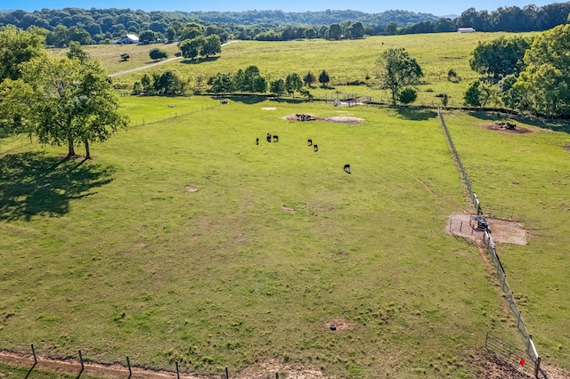 birds eye view of property with a rural view