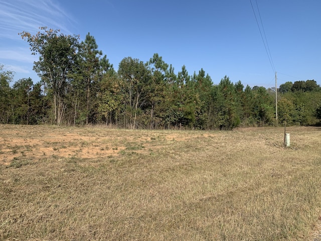 0 Hardin Graveyard Rd, Enville TN, 38332 land for sale