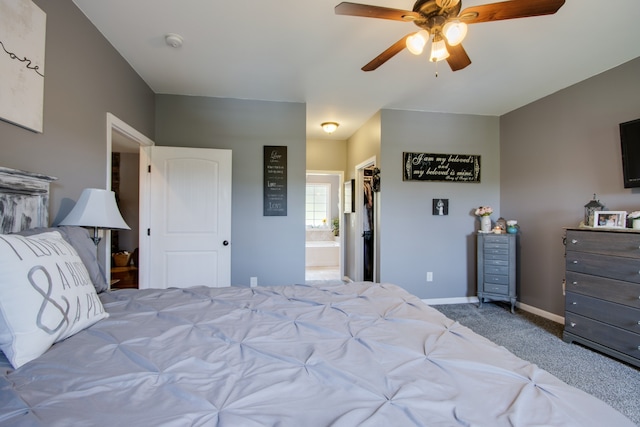 bedroom with connected bathroom, a walk in closet, ceiling fan, a closet, and dark colored carpet