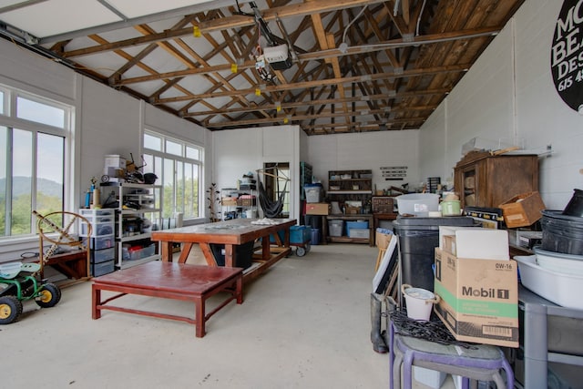 garage featuring a garage door opener and a mountain view