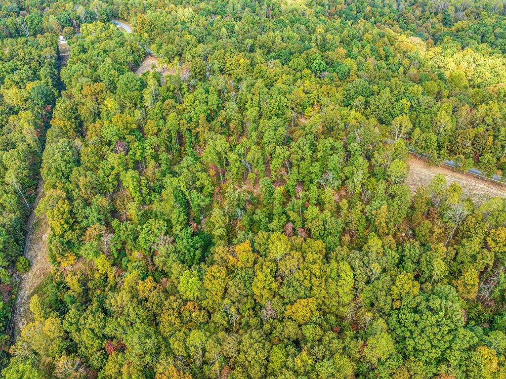 0 Primm Springs Rd, Tract Lyles, TN 37098
