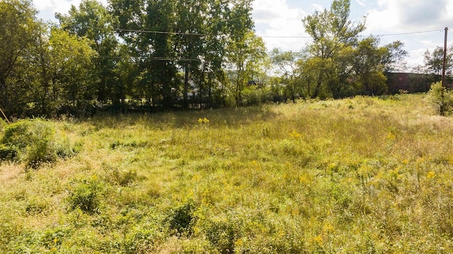 0 New Hope Rd, Hendersonville, TN 37075 - photo 11