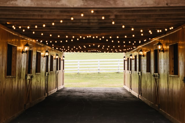 view of stable