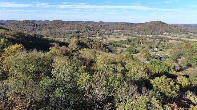 Listing photo 3 for 0 Snake Hollow Rd, Hartsville TN 37074