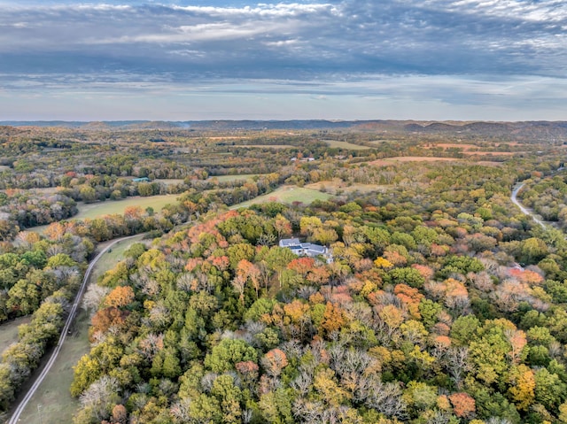 view of bird's eye view