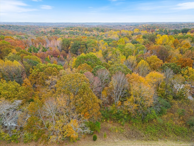0 Wallace Rd, Fairview, TN 37062