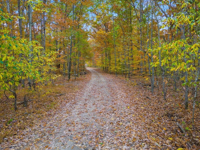 0 Wallace Rd, Fairview, TN 37062