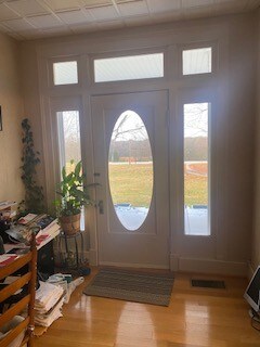 entrance foyer with plenty of natural light and hardwood / wood-style floors