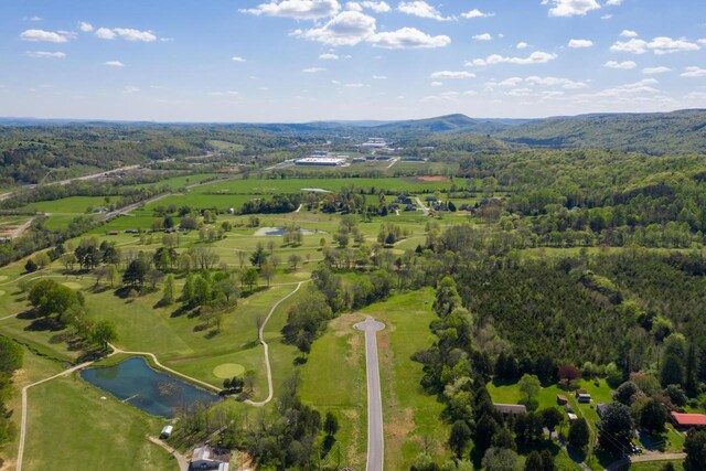 19 Norman Creek Rd, Evensville, TN 37332 - photo 6
