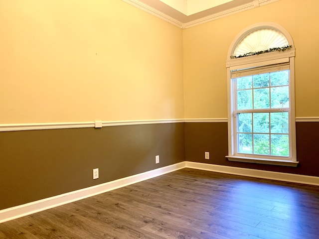 spare room featuring ornamental molding and dark wood-type flooring