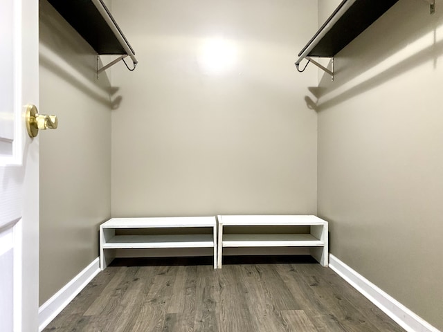 walk in closet featuring hardwood / wood-style flooring