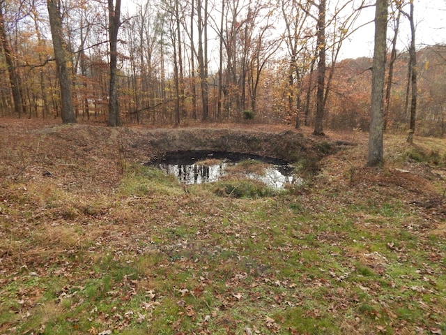 view of yard featuring a water view