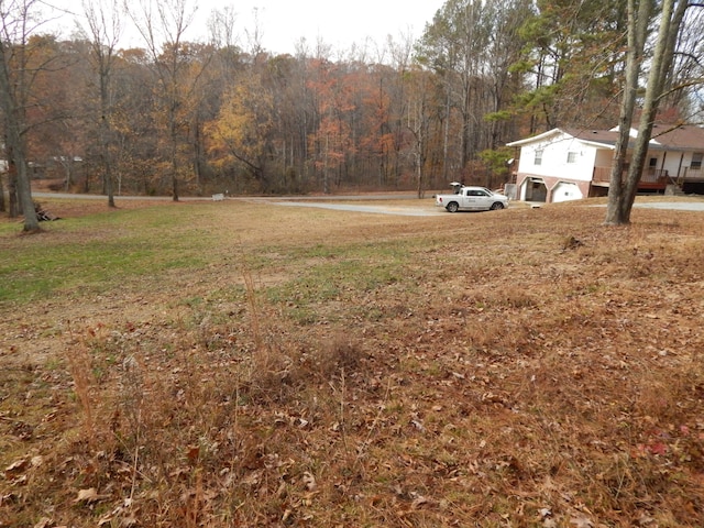 view of yard with a garage