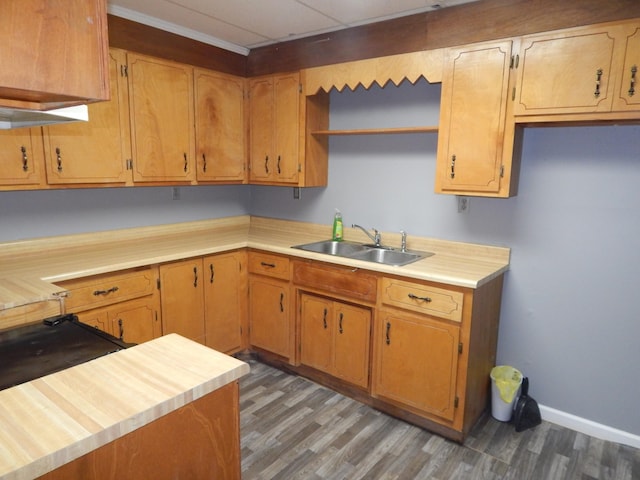 kitchen with a paneled ceiling, sink, and dark hardwood / wood-style floors