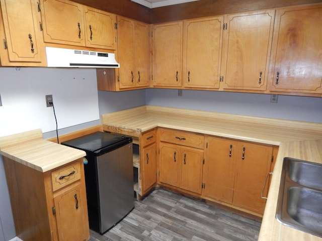 kitchen featuring sink, refrigerator, and dark hardwood / wood-style floors