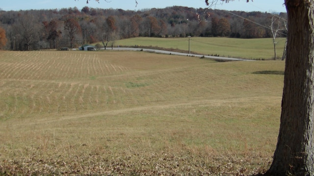 view of yard with a rural view