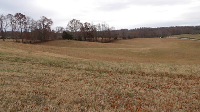 view of local wilderness featuring a rural view