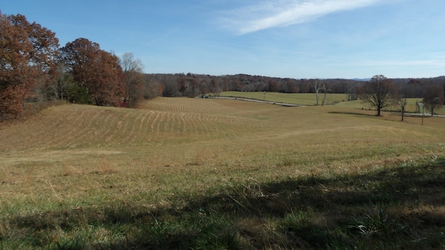 view of yard with a rural view