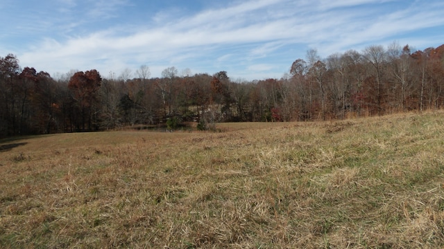 view of local wilderness