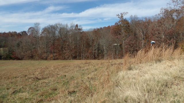 view of local wilderness