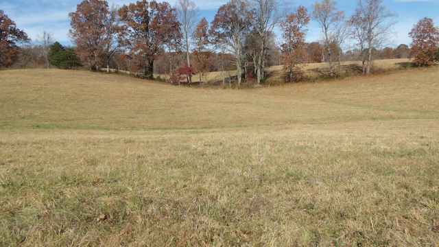 view of yard featuring a rural view