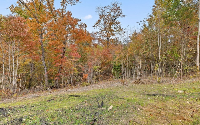 7 Grayson Way, Signal Mountain, TN 37377