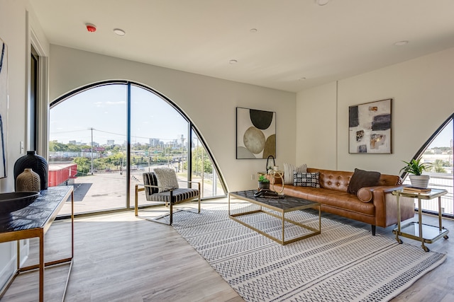 living room with light hardwood / wood-style flooring and a healthy amount of sunlight