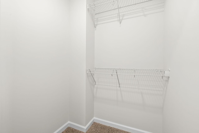 walk in closet with carpet flooring