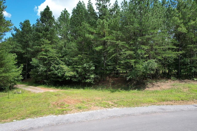 0 Crockett Pt, Jasper TN, 37347 land for sale