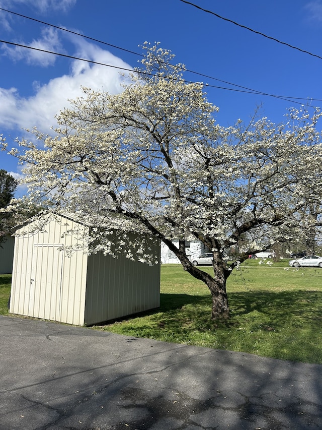 exterior space featuring a yard