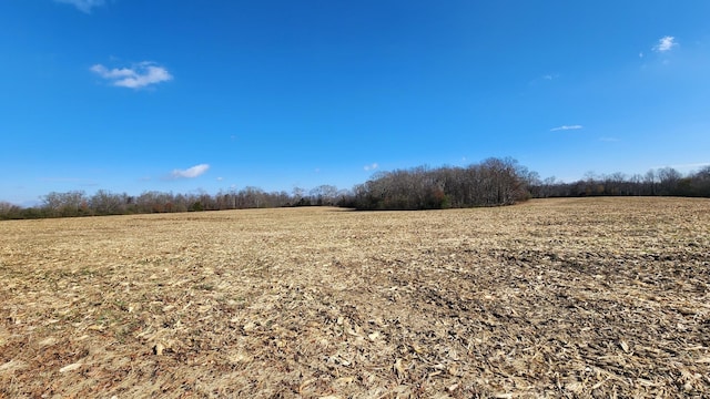 0 Twilla Ln, Smithville, TN 37166 - photo 4
