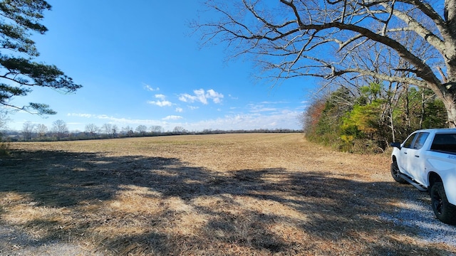 Listing photo 2 for 0 Twilla Ln, Smithville TN 37166