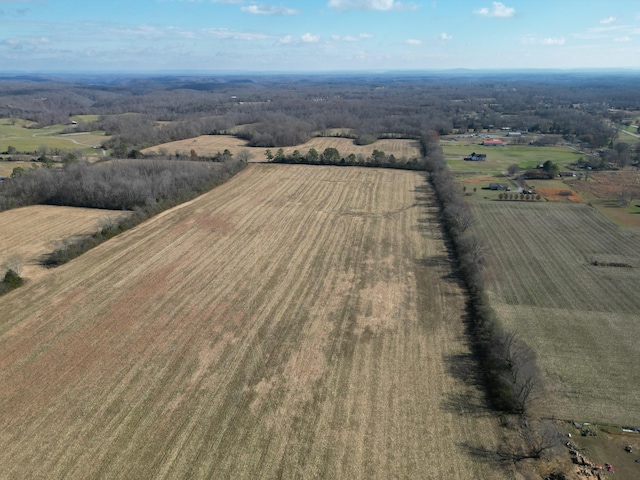 0 Twilla Ln, Smithville, TN 37166 - photo 12