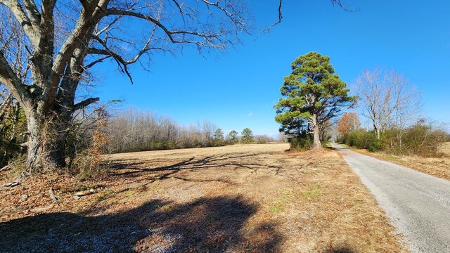 0 Twilla Ln, Smithville, TN 37166 - photo 1