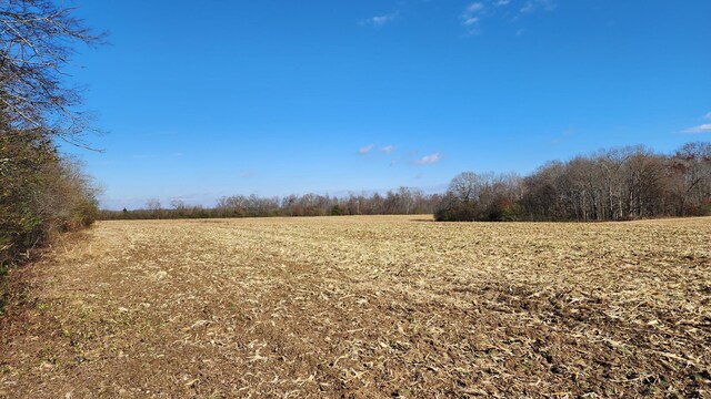 0 Twilla Ln, Smithville, TN 37166 - photo 5