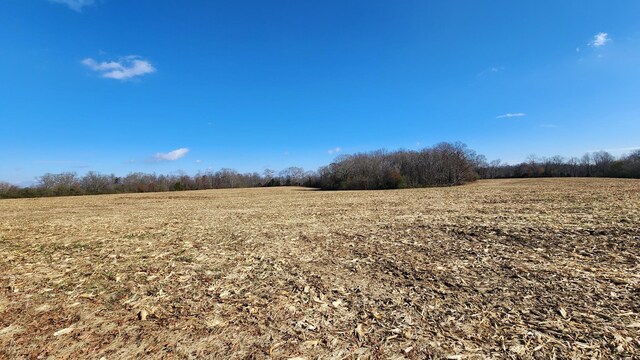 0 Twilla Ln, Smithville, TN 37166 - photo 6