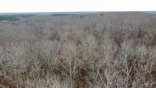 545 Howard Switch Rd, Hohenwald, TN 38462 - photo 14