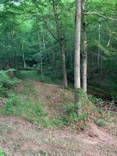 545 Howard Switch Rd, Hohenwald, TN 38462 - photo 8