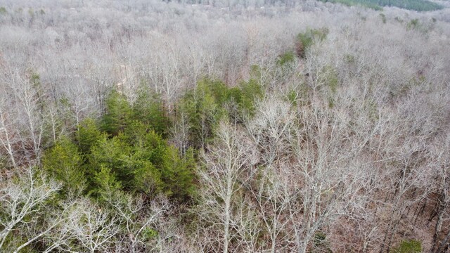 545 Howard Switch Rd, Hohenwald, TN 38462 - photo 17